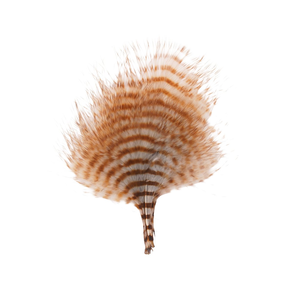 MFC - MFC Mini Barred Marabou - Feather Craft Fly Fishing
