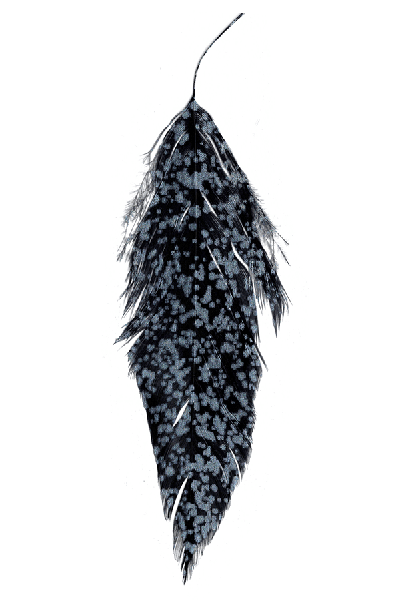 MFC - MFC Mottled Schlappen - Feather Craft Fly Fishing