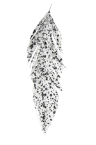 MFC - MFC Mottled Schlappen - Feather Craft Fly Fishing