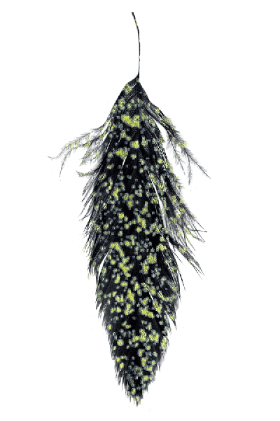 MFC - MFC Mottled Schlappen - Feather Craft Fly Fishing