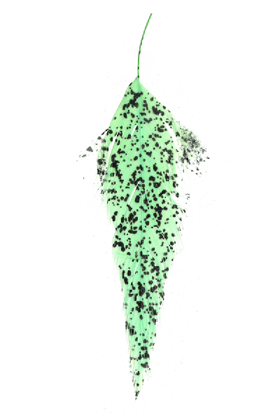 MFC - MFC Mottled Schlappen - Feather Craft Fly Fishing