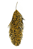 MFC - MFC Mottled Schlappen - Feather Craft Fly Fishing