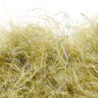 MFC - MFC Senyo's Dirty Bird Dubbing - Feather Craft Fly Fishing