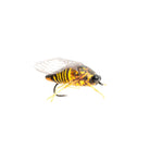 MFC - True Cicada - Feather Craft Fly Fishing