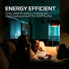 NEBO - Nebo Blackout Backup Emergency Led Bulb - Feather Craft Fly Fishing