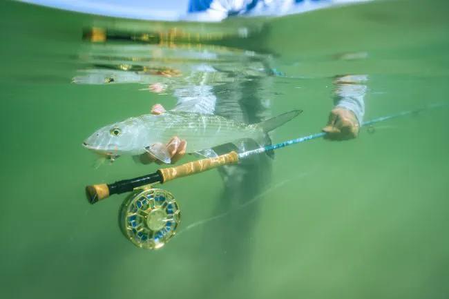 best fly rod and reel for bonefish Dark Matter Plus Travel Spinning Rods Take this rod south to catch bonefish Best Fly Rods for Bonefish