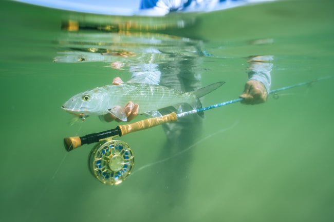 Orvis - Orvis Ratio Big Game Fly Reels - Feather Craft Fly Fishing