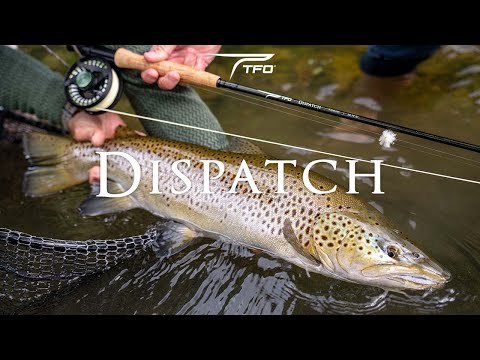 brown trout fly fishing rods TFO Dispatch Fly Rods & Outfits – Feather Craft Fly Fishing
