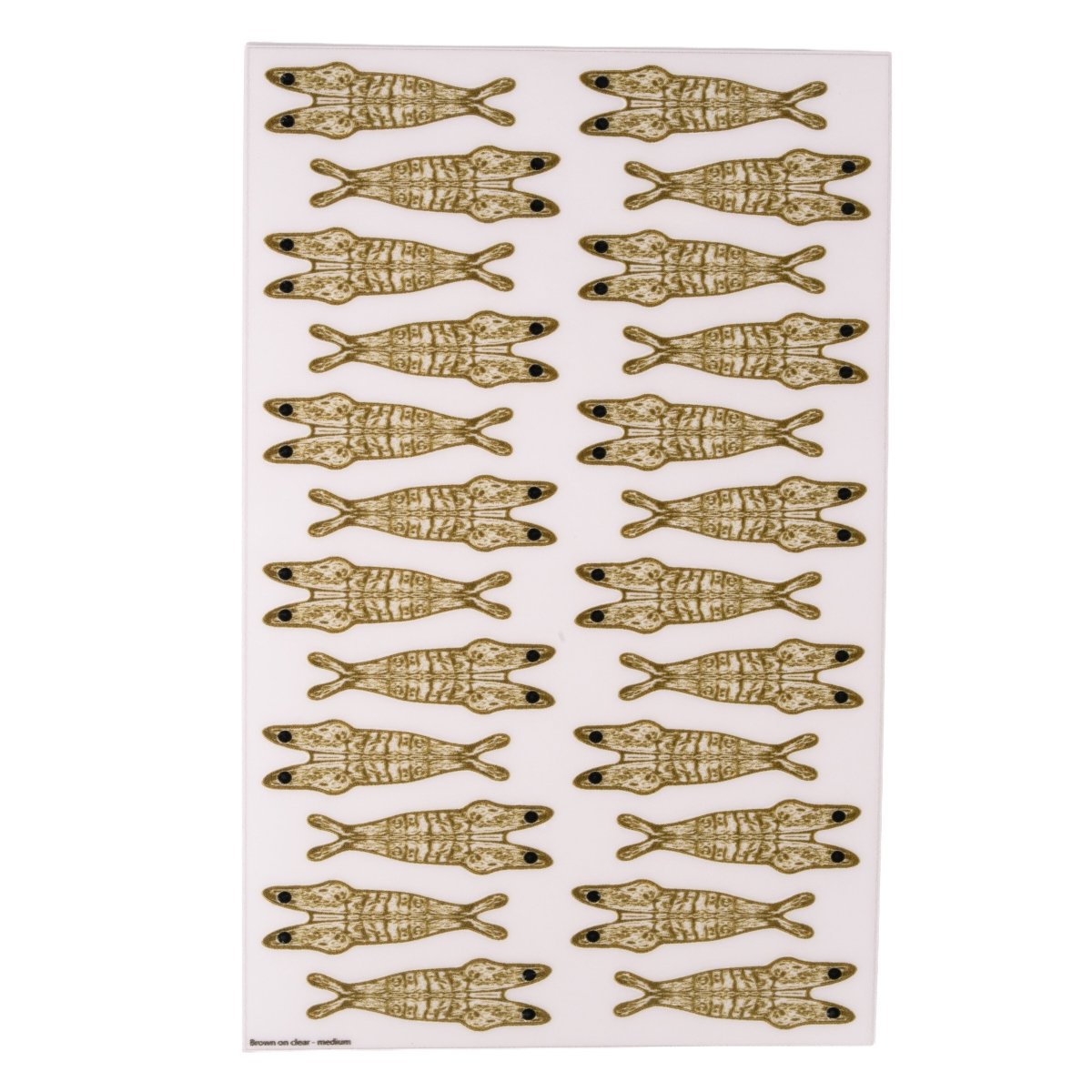 PRO Sportfisher - PRO Sportfisher 3D Shrimp Shells - Feather Craft Fly Fishing