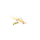 Rainys - Gold Gotcha - Feather Craft Fly Fishing