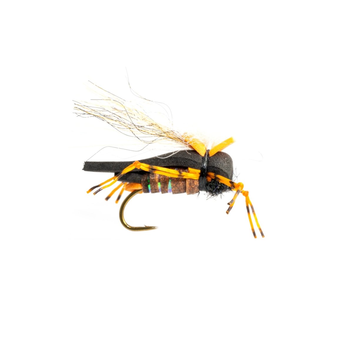 Rainys - Masons Hipster Doofus Cicada - Feather Craft Fly Fishing