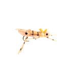 Rainys - Rainys Hi - Vis Grand Hopper - Feather Craft Fly Fishing