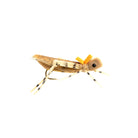 Rainys - Rainys Hi - Vis Grand Hopper - Feather Craft Fly Fishing