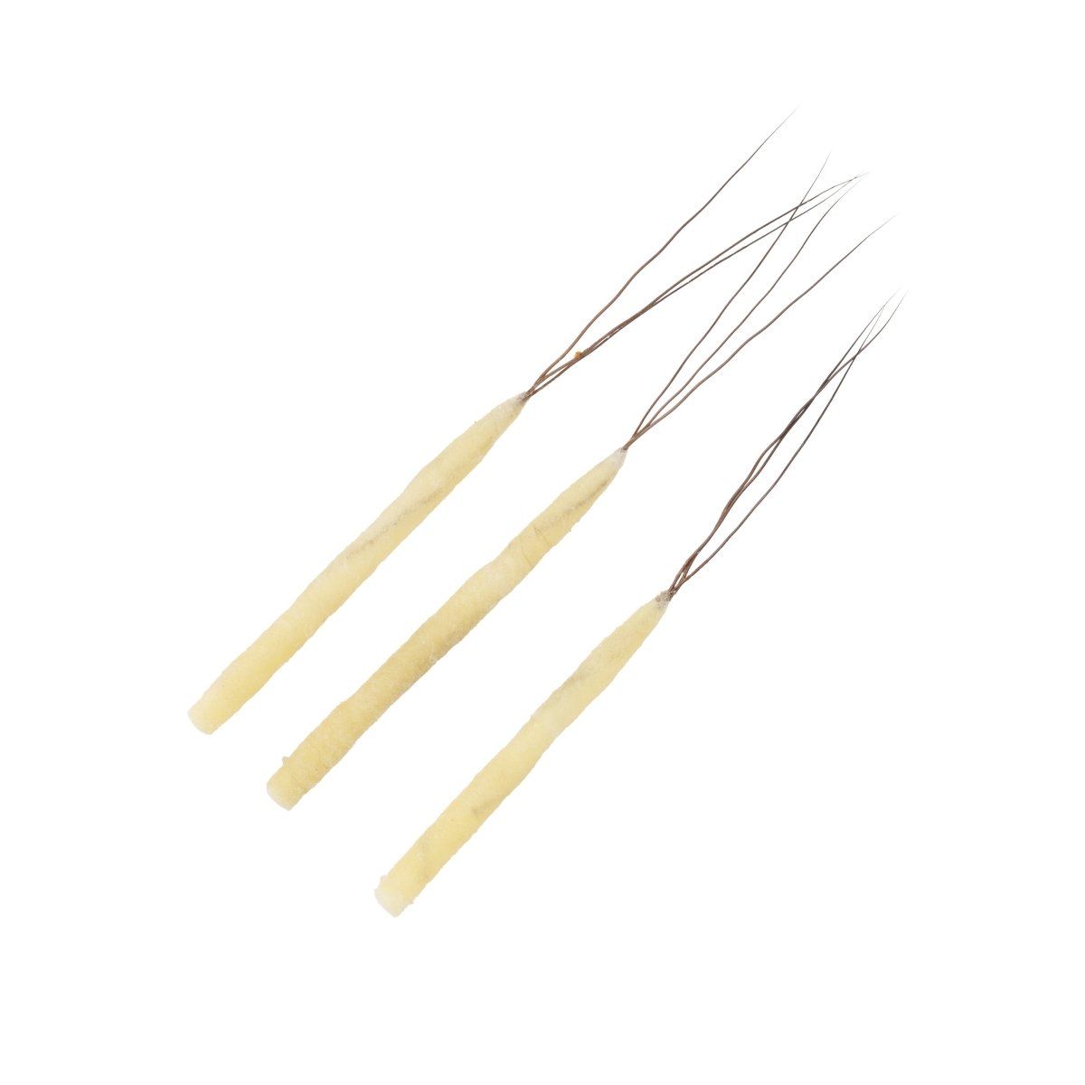 Rainys - Rainy's Tube Bodiz - Hex Mayfly - Feather Craft Fly Fishing