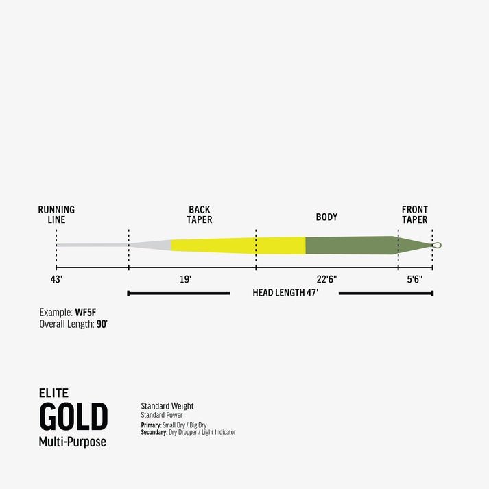 Rio - Rio Elite Gold Fly Line - Feather Craft Fly Fishing