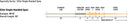 Rio - Rio Elite Single Handed Spey Line - Feather Craft Fly Fishing