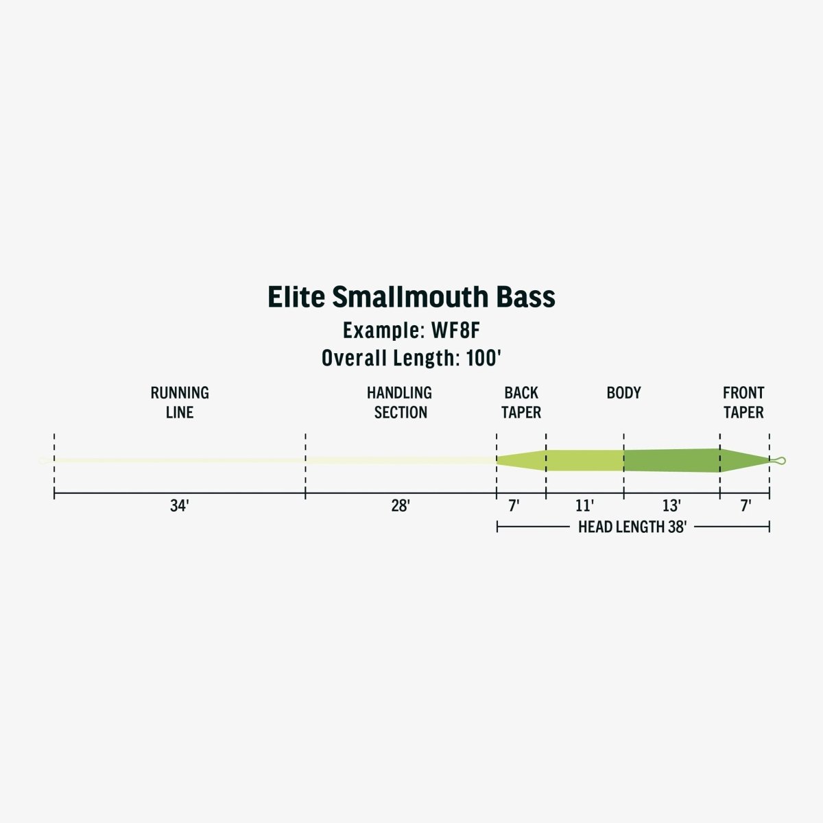 Rio - Rio Elite Smallmouth Bass Fly Line - Feather Craft Fly Fishing