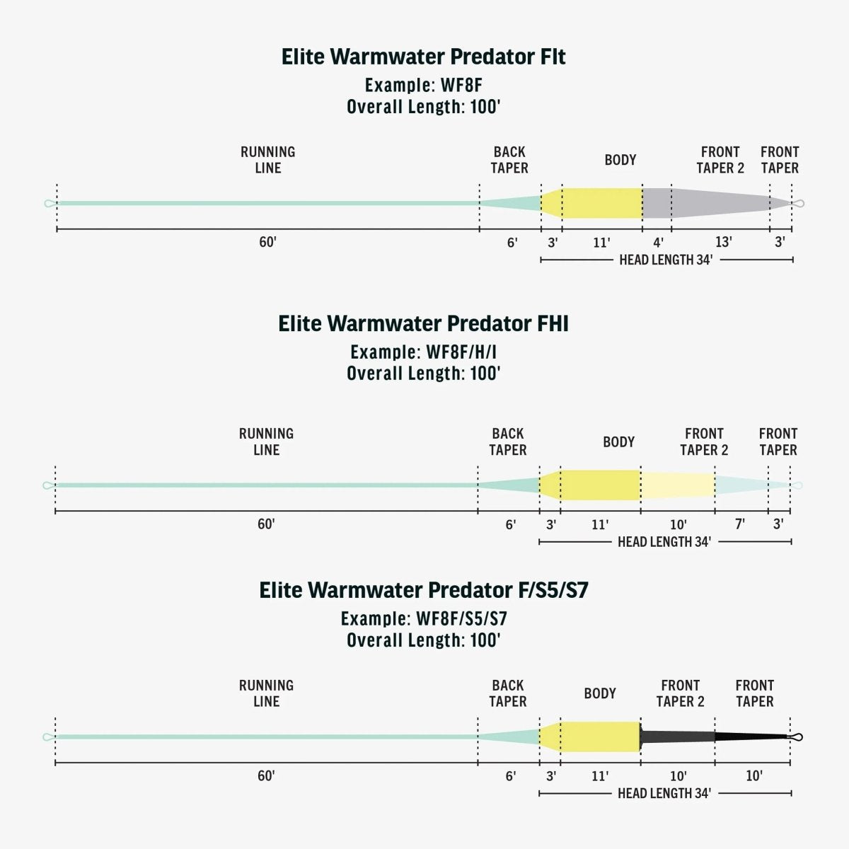 Rio - Rio Elite Warmwater Predator Intermediate Fly Line - Feather Craft Fly Fishing