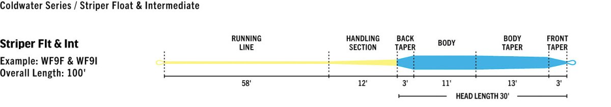 Rio - Rio Premier Striper Intermediate Fly Line - Feather Craft Fly Fishing