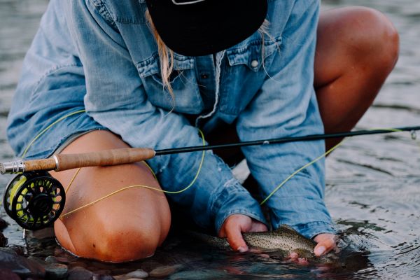 R.L. Winston - Winston Air 2 Trout 5 - Piece Fly Rod Series - Feather Craft Fly Fishing