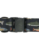 Simms - Simms Wading Belt - 2" - Feather Craft Fly Fishing