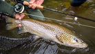 Temple Fork Outfitters - TFO Dispatch Fly Rods & Outfits - Feather Craft Fly Fishing