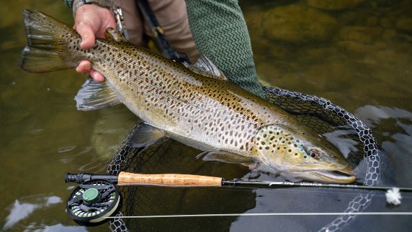 Temple Fork Outfitters - TFO Dispatch Large - Arbor Fly Reels - Feather Craft Fly Fishing