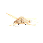 Umpqua - Alphlexo Crab - Feather Craft Fly Fishing
