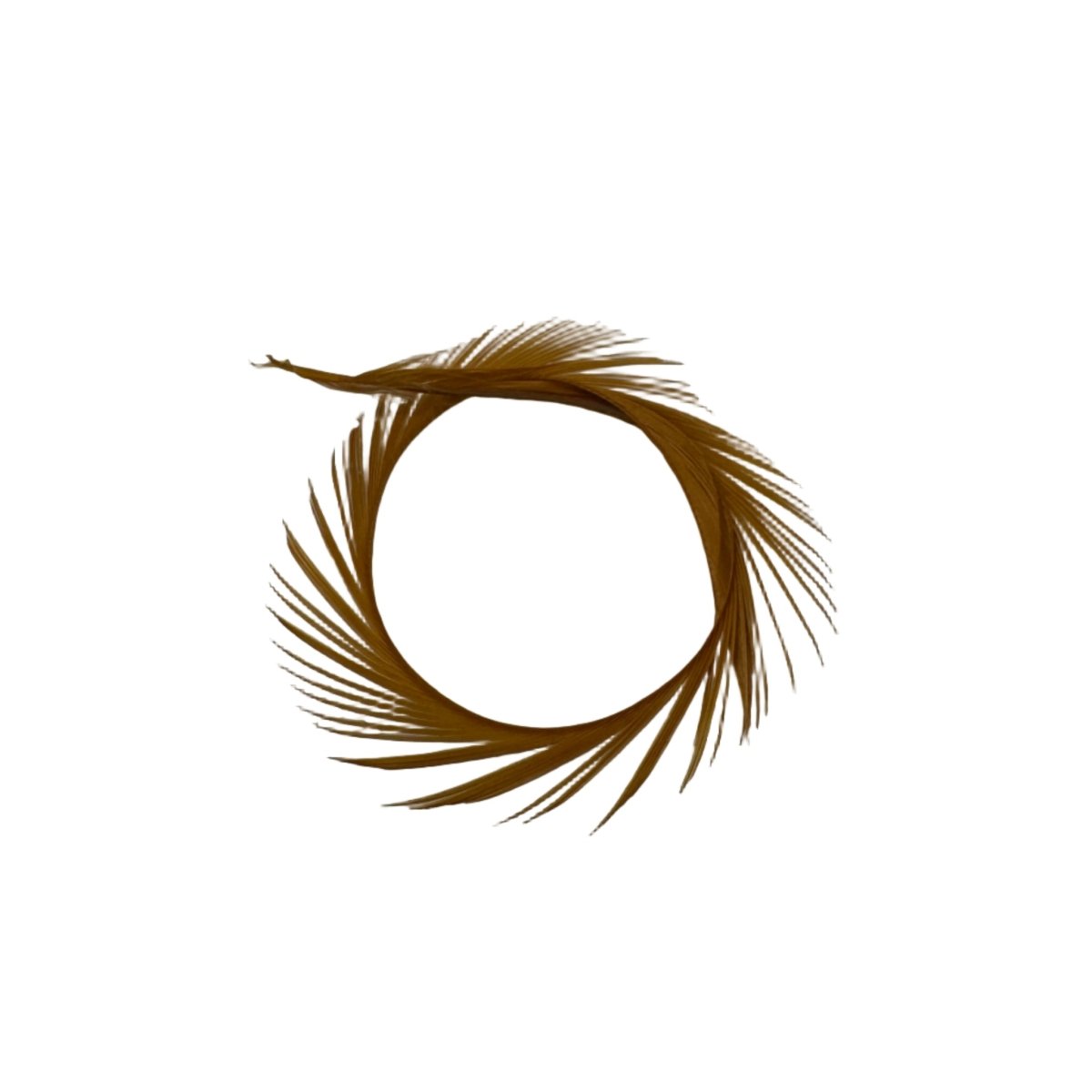 Wapsi - Goose Biots - Feather Craft Fly Fishing