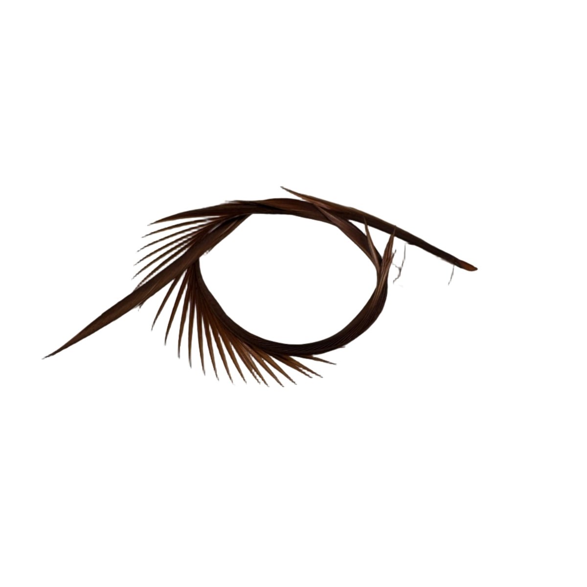 Wapsi - Goose Biots - Feather Craft Fly Fishing