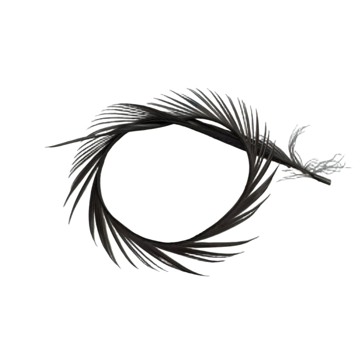 Wapsi - Goose Biots - Feather Craft Fly Fishing