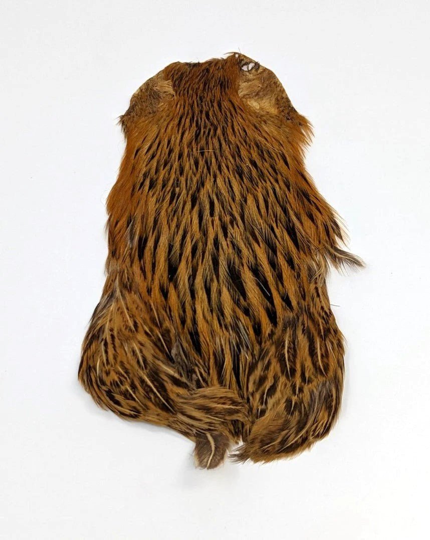 Wapsi - India Hen Necks - Feather Craft Fly Fishing