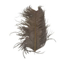 Wapsi - Large Ostrich Plumes - Feather Craft Fly Fishing