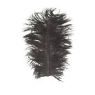 Wapsi - Large Ostrich Plumes - Feather Craft Fly Fishing