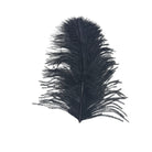 Wapsi - Large Ostrich Plumes - Feather Craft Fly Fishing