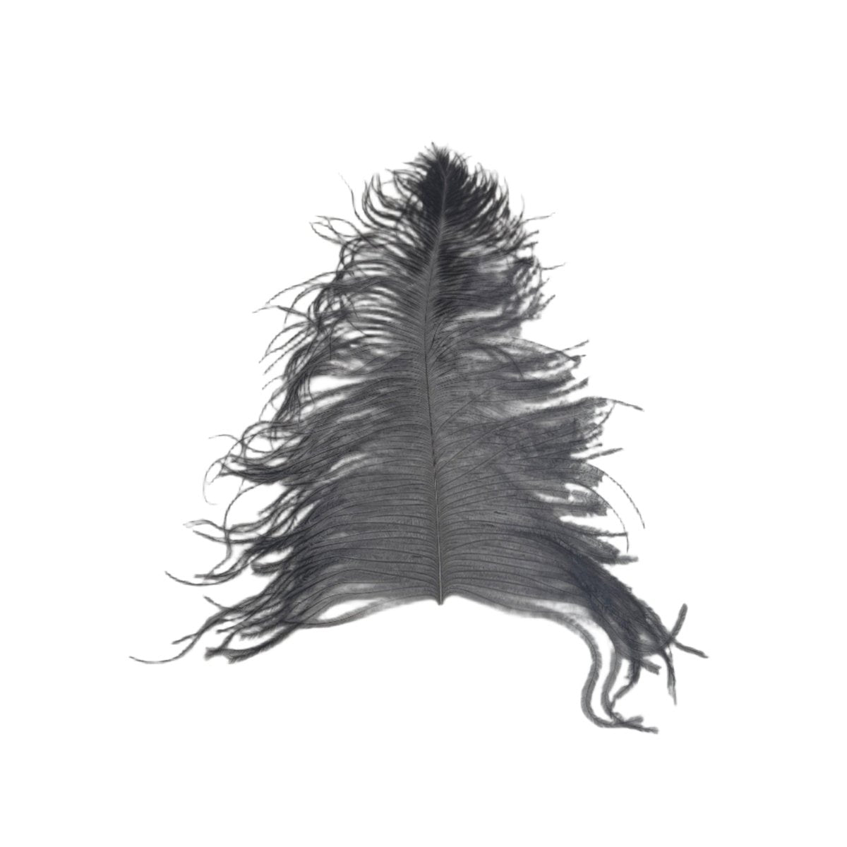 Wapsi - Large Ostrich Plumes - Feather Craft Fly Fishing
