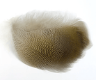 Wapsi - Lemon Wood Duck Flank - Feather Craft Fly Fishing