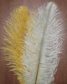 Wapsi - Med Ostrich Plumes - Feather Craft Fly Fishing