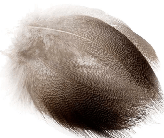 Wapsi - Natural Bronze Mallard - Feather Craft Fly Fishing