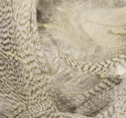Wapsi - Natural Mallard Flank - Feather Craft Fly Fishing