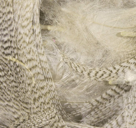 Wapsi - Natural Mallard Flank - Feather Craft Fly Fishing