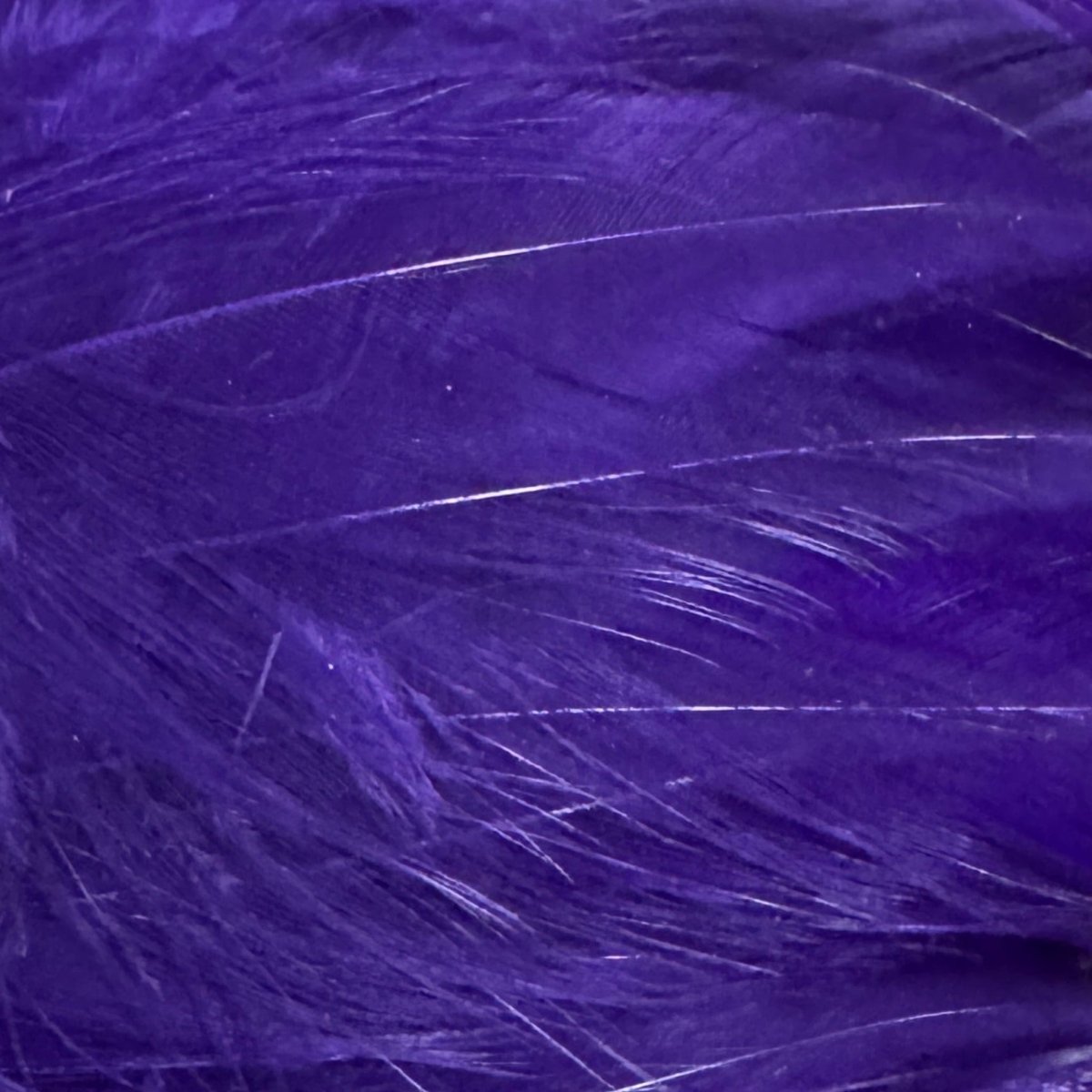 Wapsi - Saltwater Neck Hackle - Feather Craft Fly Fishing