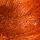 Wapsi - Saltwater Neck Hackle - Feather Craft Fly Fishing