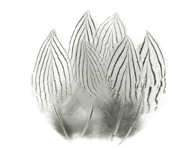 Wapsi - Silver Pheasant Body Feathers - Feather Craft Fly Fishing