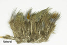 Wapsi - Strung Ringneck Pheasant Rump - Feather Craft Fly Fishing