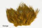 Wapsi - Strung Ringneck Pheasant Rump - Feather Craft Fly Fishing