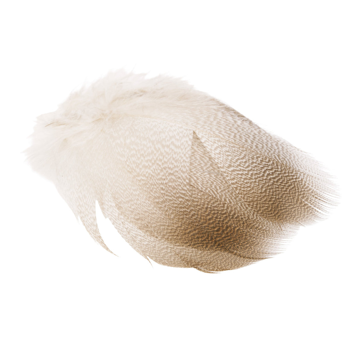 Wapsi - Wapsi Bronze Mallard Flank - Feather Craft Fly Fishing