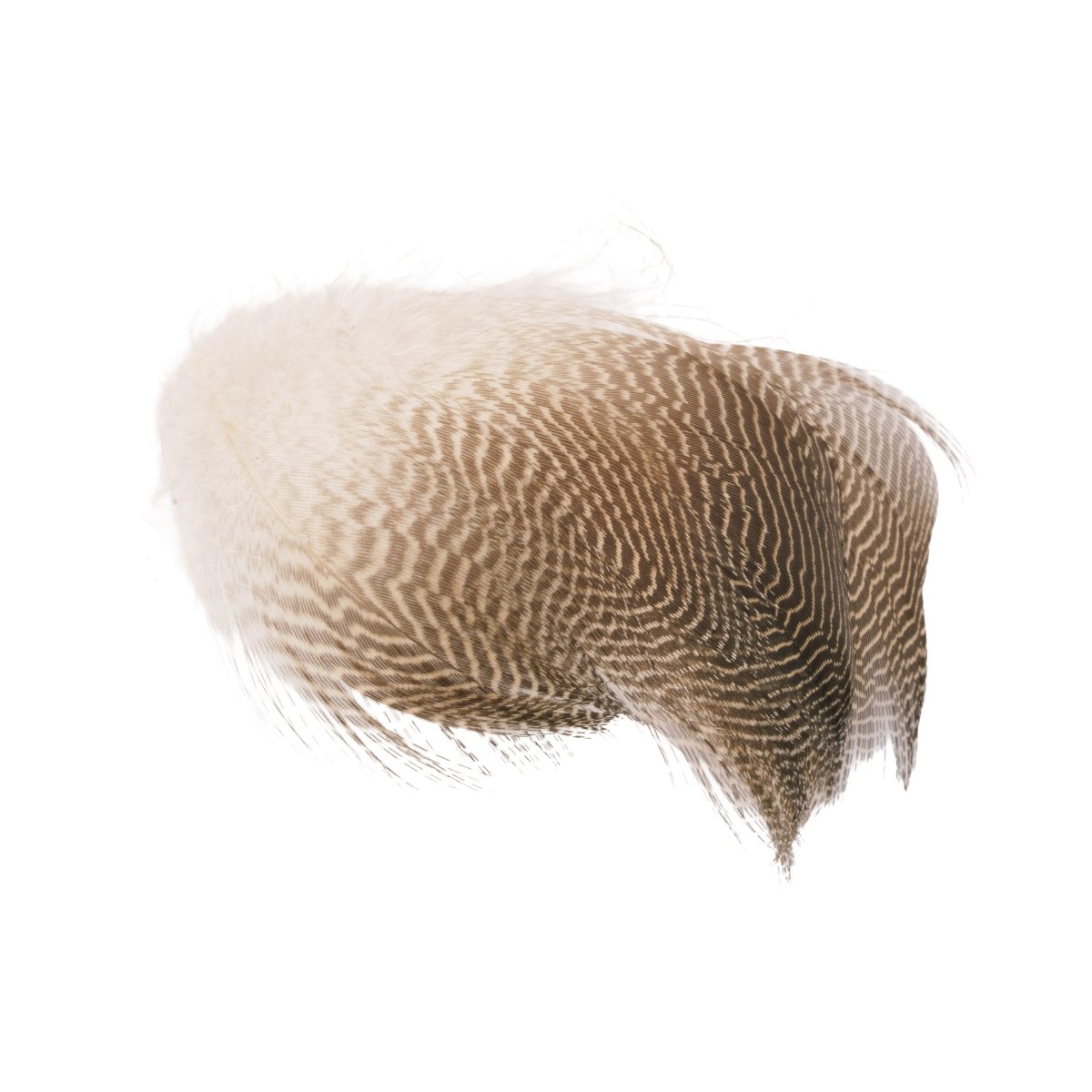 Wapsi - Wapsi Gadwall Barred Flank - Feather Craft Fly Fishing