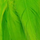 Wapsi - Wapsi Strung Rooster Saddles Long - Feather Craft Fly Fishing