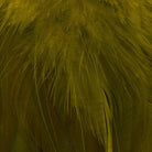 Wapsi - Wapsi Strung Rooster Saddles Long - Feather Craft Fly Fishing